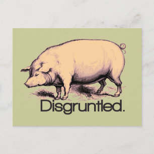 Disgruntled pig briefkaart