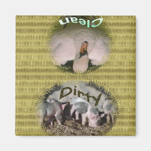 Dishwasher Magnet Magneet