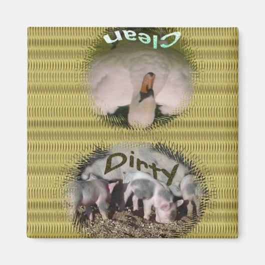 Dishwasher Magnet Magneet (Voorkant)