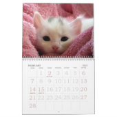 Disparaissent le ~ mignon vont calendrier des (Feb 2027)