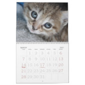 Disparaissent le ~ mignon vont calendrier des (Mar 2027)