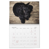 Disparaissent le ~ mignon vont calendrier du chiot (Jan 2027)