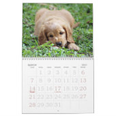 Disparaissent le ~ mignon vont calendrier du chiot (Mar 2027)