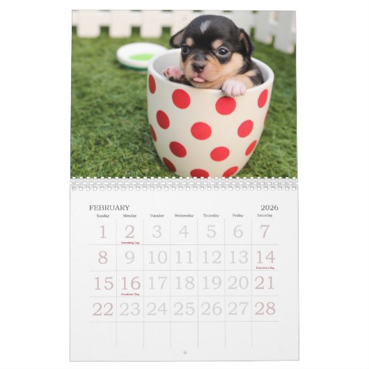 Disparaissent le ~ mignon vont calendrier du chiot (Feb 2026)
