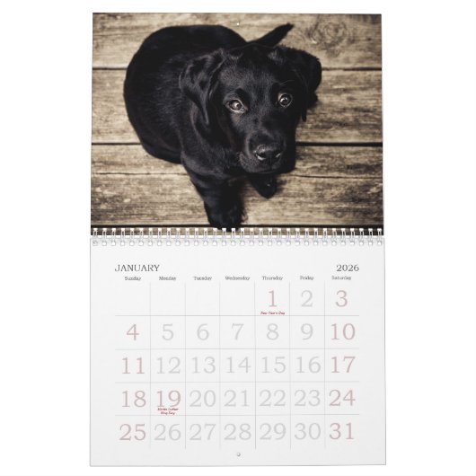 Disparaissent le ~ mignon vont calendrier du chiot (Jan 2026)