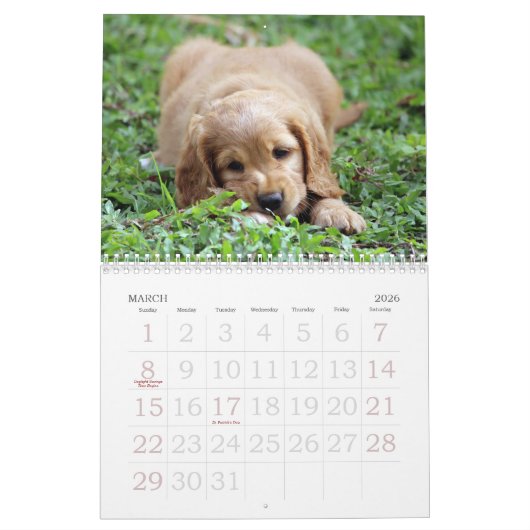 Disparaissent le ~ mignon vont calendrier du chiot (Mar 2026)