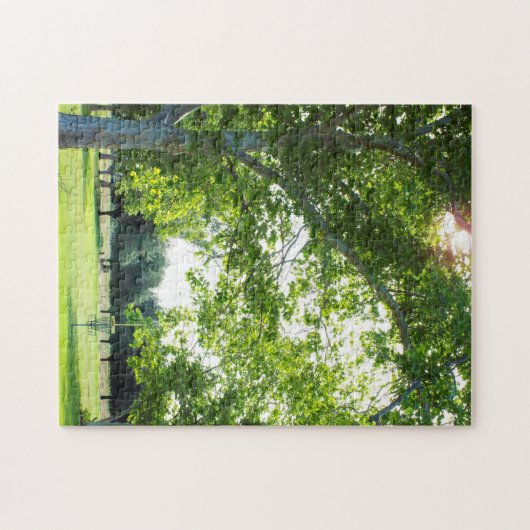 Disque Golf Puzzle (Horizontal)