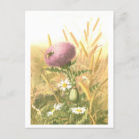 Distel en Bij Ansichtkaart