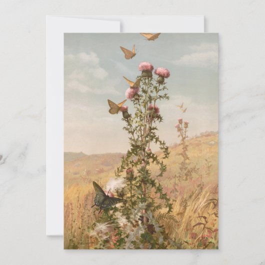 distel | Fidelia Bridges (Voorkant)