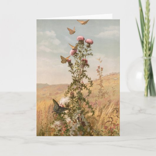 distel | Fidelia Bridges Kaart (Voorkant)