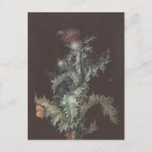 Distel met Insecten 1755 Johann C. Dietzsch Briefkaart