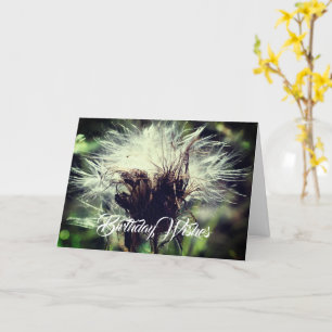 Distel Pluizen Bloem Aanpasbare Verjaardag Kaart