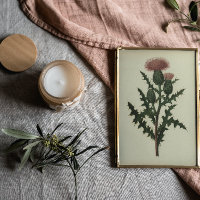 Distel Van Bloemen en Varens van Amerika Poster
