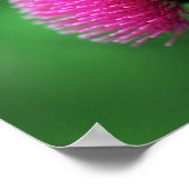 Distelbloem Poster (Hoek)