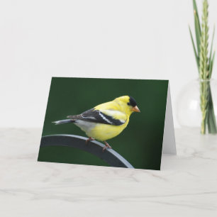 Distelvink Kaart