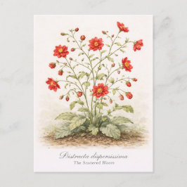 Distracta dispersissima - The Scattered Bloom Briefkaart