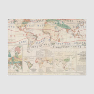 Distributie planten tissuepapier