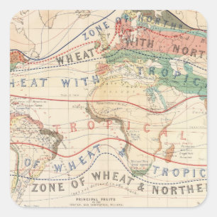 Distributie planten vierkante sticker