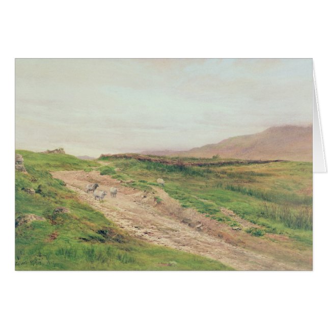 Districtmeer (Voorkant Horizontaal)
