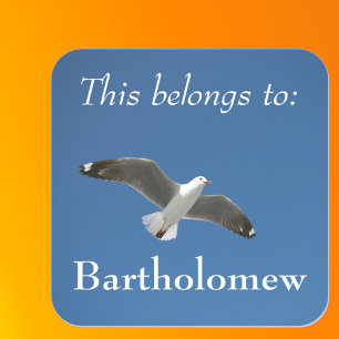 Dit Behoort Toe Aan Blue Sky Seagull Foto Vierkante Sticker