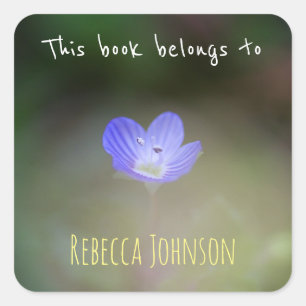 Dit boek behoort tot vierkante sticker