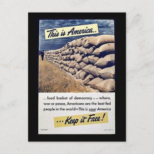 Dit is Amerika houdt het vrij! Briefkaart