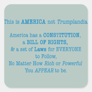 Dit is Amerika Vierkante Sticker