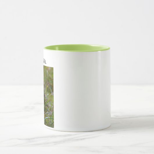 "DIT IS BULL" Bullfrog-Mok Mok (Midden)