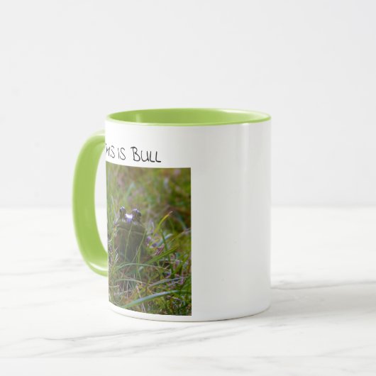 "DIT IS BULL" Bullfrog-Mok Mok (Voorkant links)