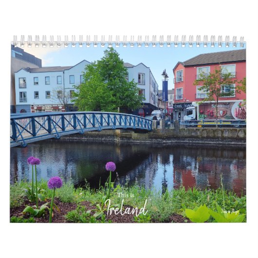 Dit is de Ierse kalender (Hoes)