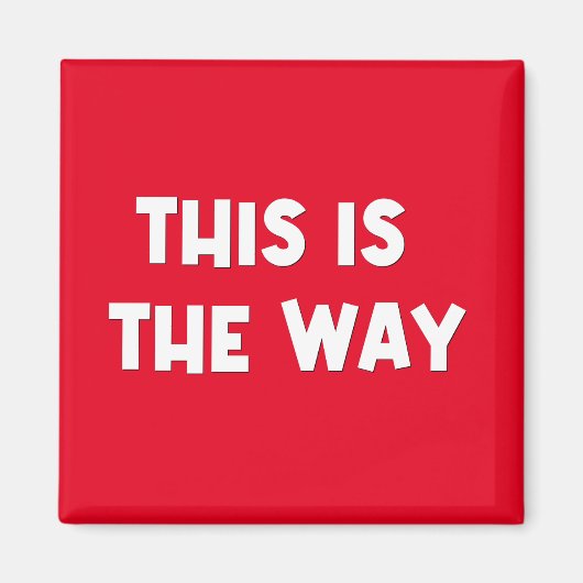 Dit is de Way Magnet Magneet (Voorkant)