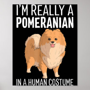 Dit is een menselijk kostuum Een Pomeranian hond H Poster