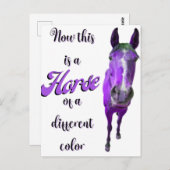 Dit is een paard van een ander kleurenPaars Briefkaart (Voorkant / Achterkant)