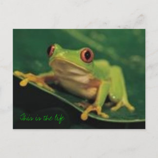 Dit is het leven briefkaart