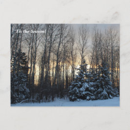 Dit is het seizoen noordwaarts, maandag wintervaka briefkaart