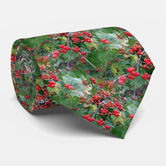 Dit is het Stropdas van de Berries (Opgerold)