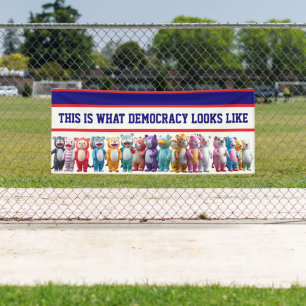 Dit is hoe Democratie eruit ziet Protest Spandoek