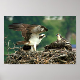 Dit is hoe deze dingen werken poster