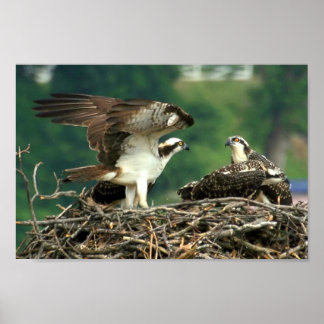 Dit is hoe deze dingen werken poster