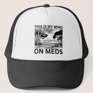 Dit is mijn mening over medicijnen trucker pet