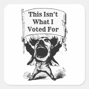 Dit is niet waar ik voor heb gestemd vierkante sticker