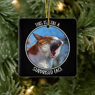 Dit is nog steeds een verrast gezicht Grappige Sch Keramisch Ornament
