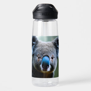 Dit Koala Beer houdt gewoon van een selfie, Waterfles