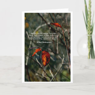 Dit Onze Leven - de Kaart van het Citaat van