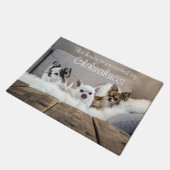 Dit Parlement wordt beschermd door Chihuahuas Door Deurmat (Schuin)
