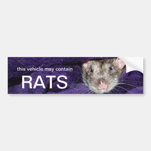 Dit voertuig kan ratten bevatten bumpersticker (Voorkant)