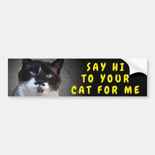 Dites Bonjour À Votre Sticker À Mème De Chat (Devant)