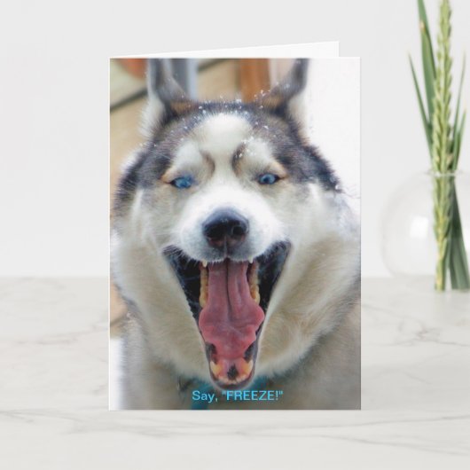 Dites, "GELEZ" la carte de voeux (Devant)