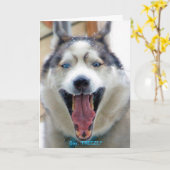 Dites, "GELEZ" la carte de voeux (Fleur jaune)