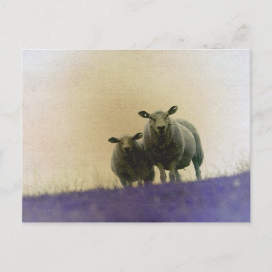 Dithmarschen Briefkaart (Voorkant)